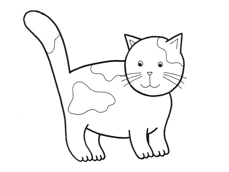 Yeni Kedi boyama sayfası