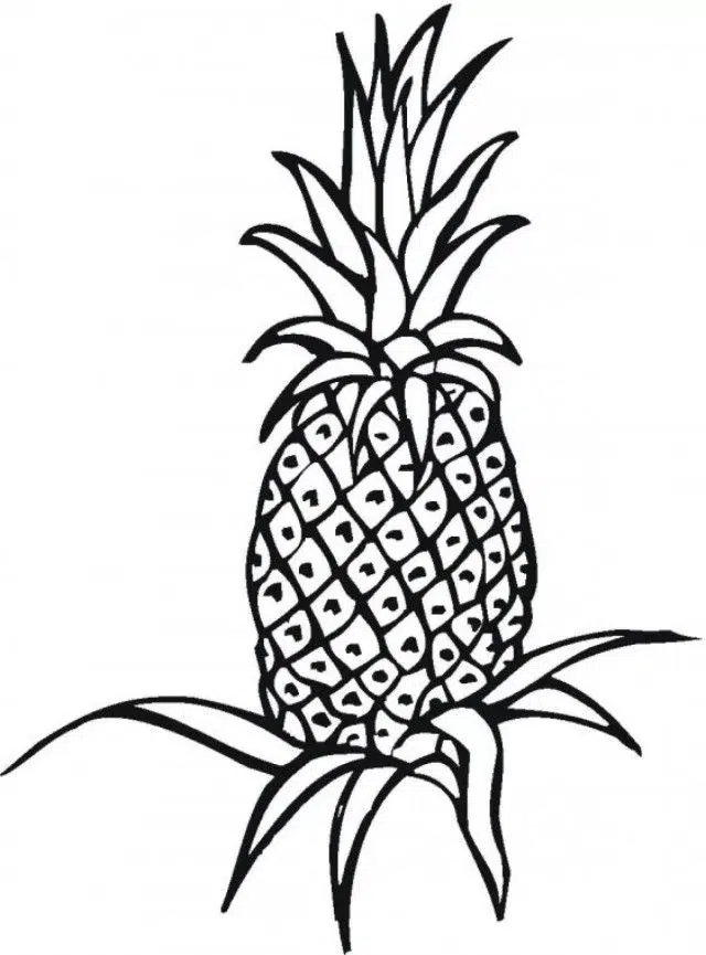 Zor Ananas boyama sayfası