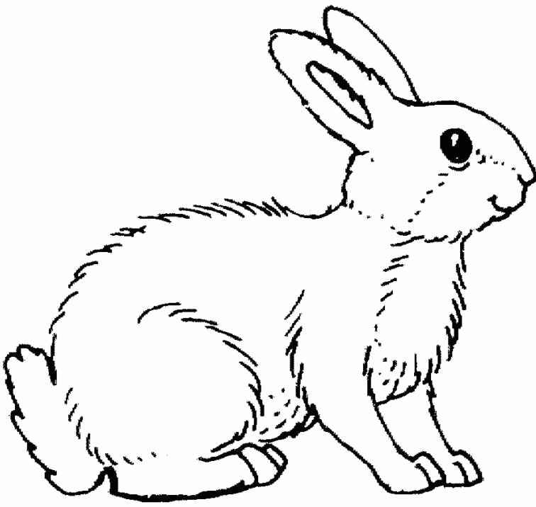 Oyuncu Tavşan boyama sayfası