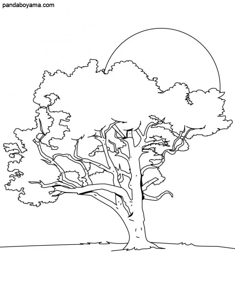 Dallı Ağaç boyama sayfası
