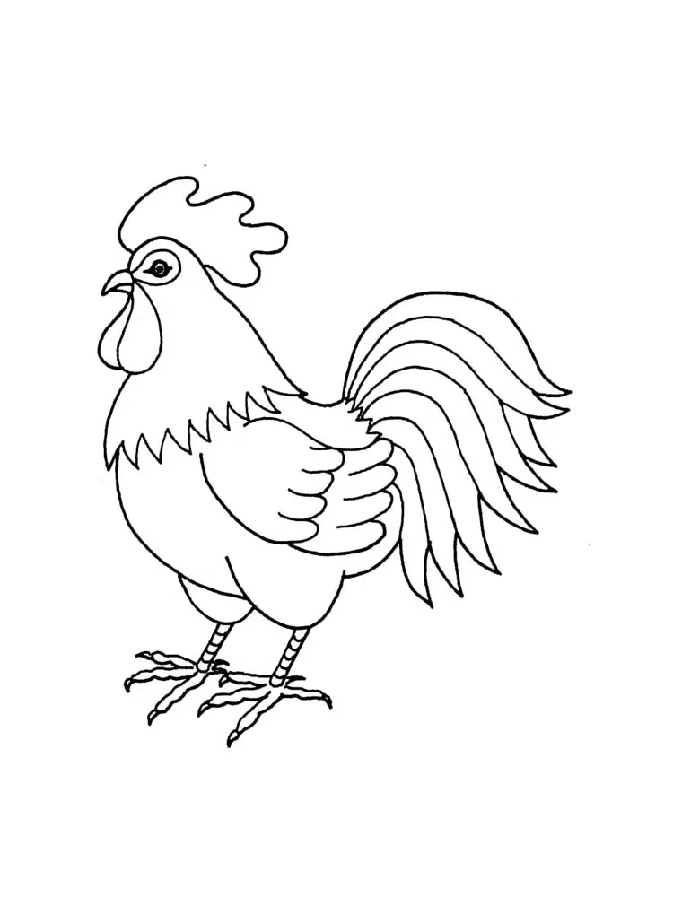 Horoz ve Tavuk boyama sayfası