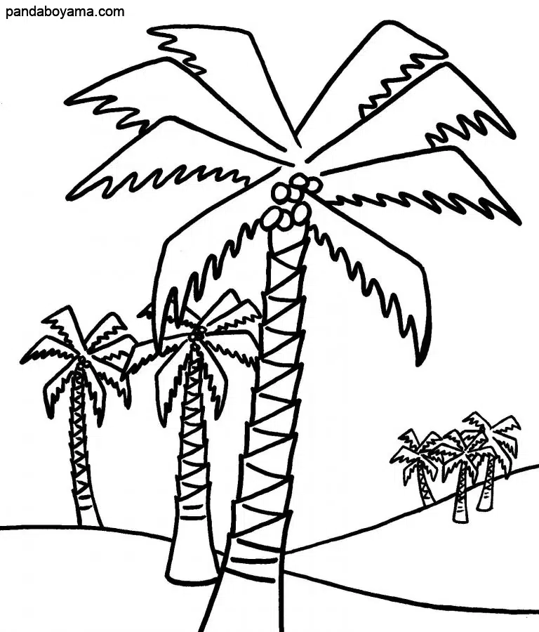 Palmiye Ağaç boyama sayfası