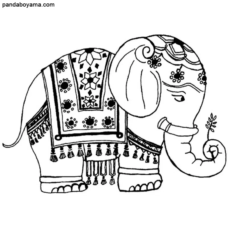 Hindistan Fili boyama sayfası