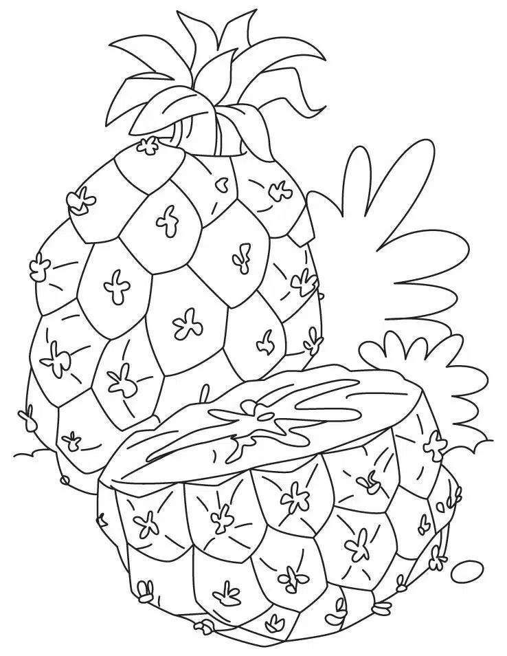 Ananas ve Kabuğu boyama sayfası