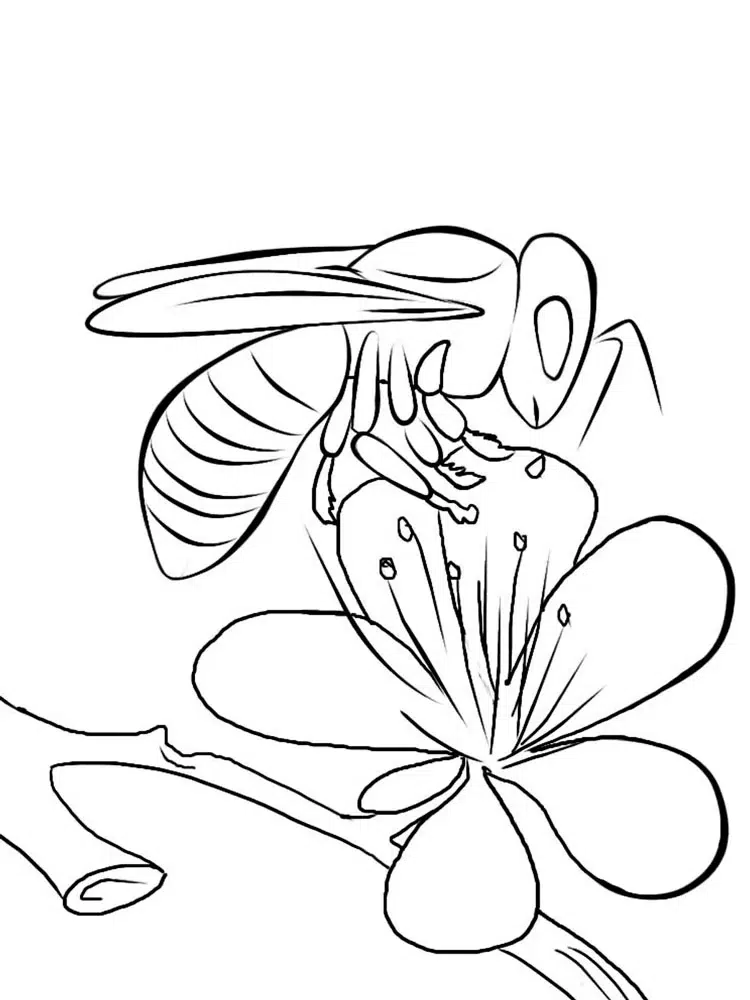 Arı ve Çiçek boyama sayfası
