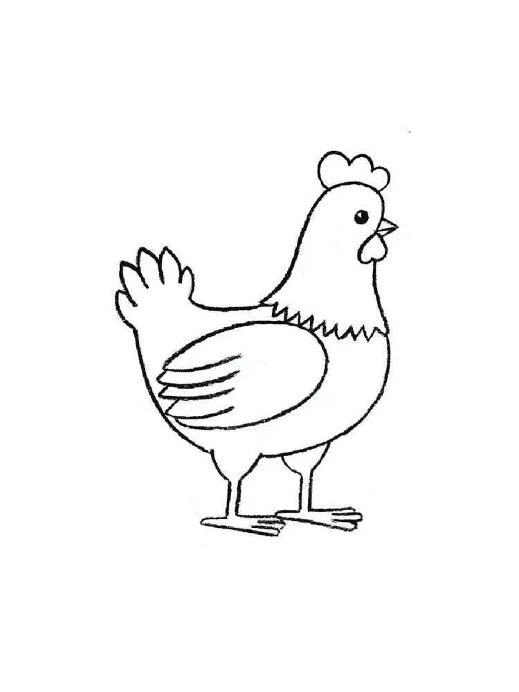 Kümeste Tavuk boyama sayfası
