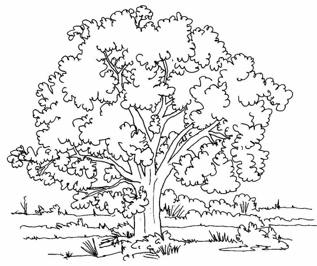 Detaylı Ağaç boyama sayfası