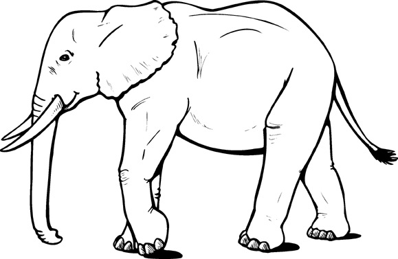 Büyük Fil boyama sayfası