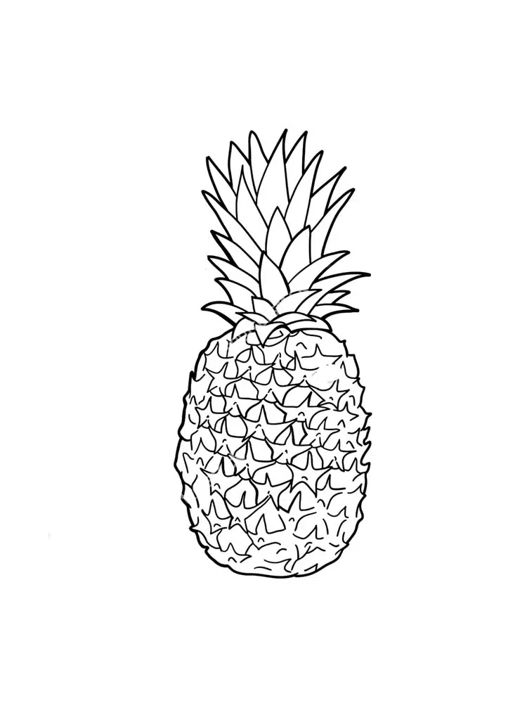 Tropik Ananas boyama sayfası