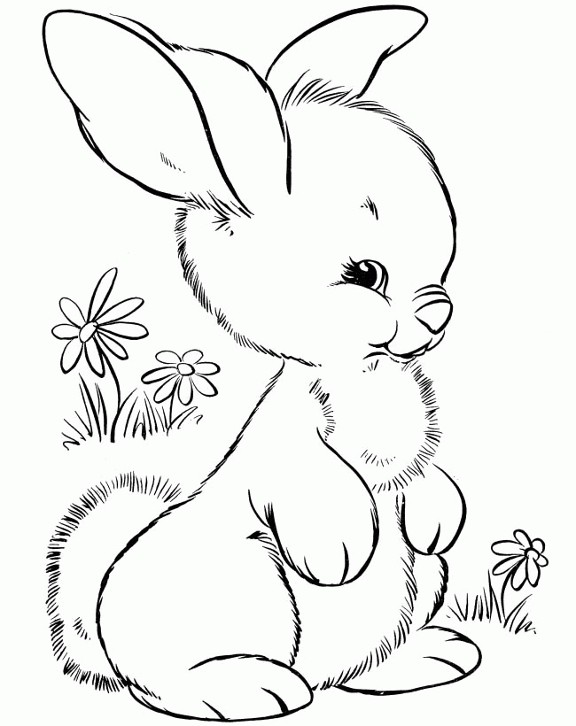 Tatlı Tavşan