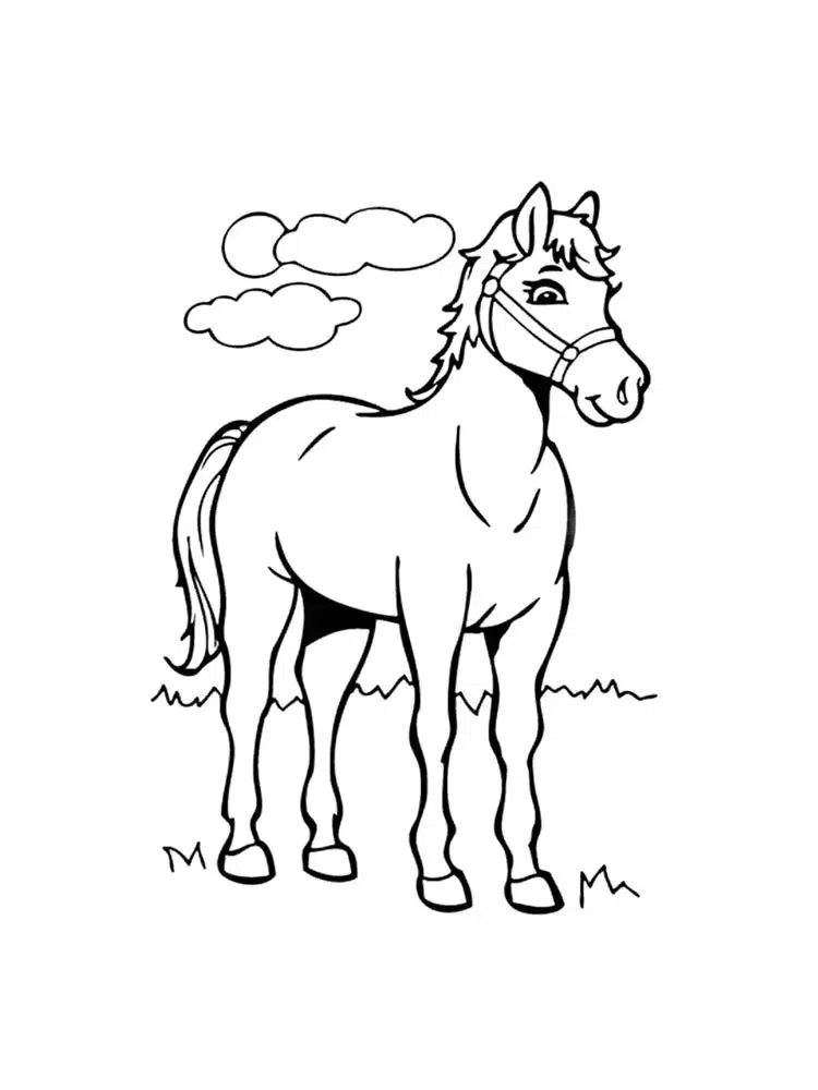 At ve Manzara boyama sayfası