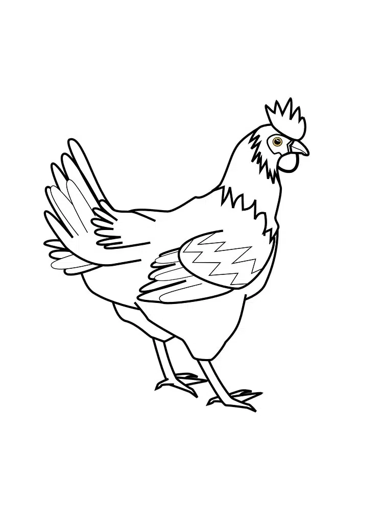 Güncel Tavuk boyama sayfası