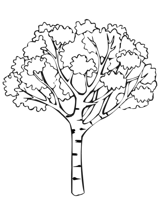 Basit Ağaç boyama sayfası