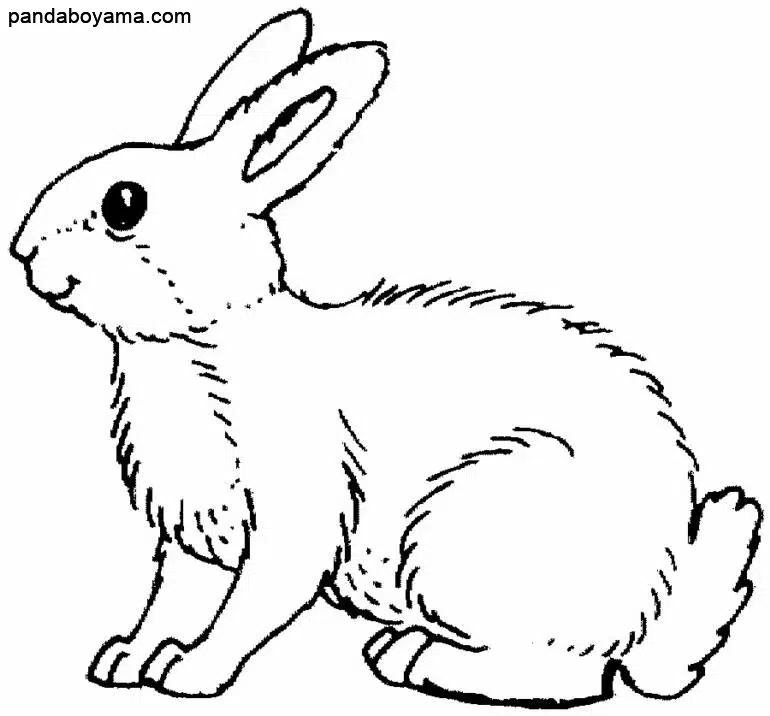 Sevimli Tavşan boyama sayfası