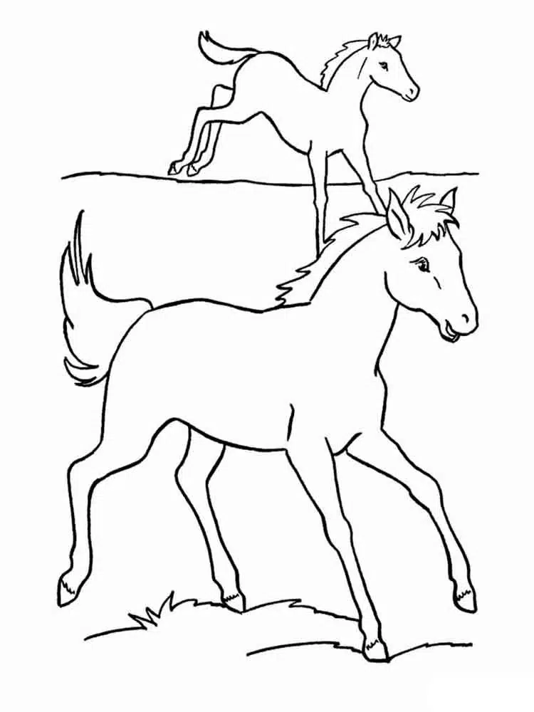 Atların Dostluğu boyama sayfası