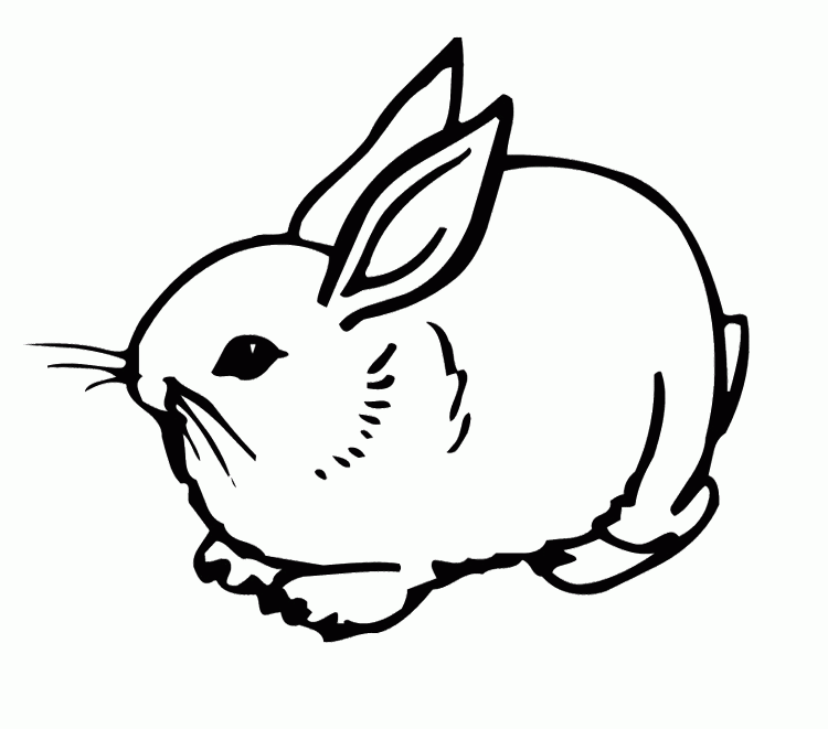 Minik Tavşan boyama sayfası