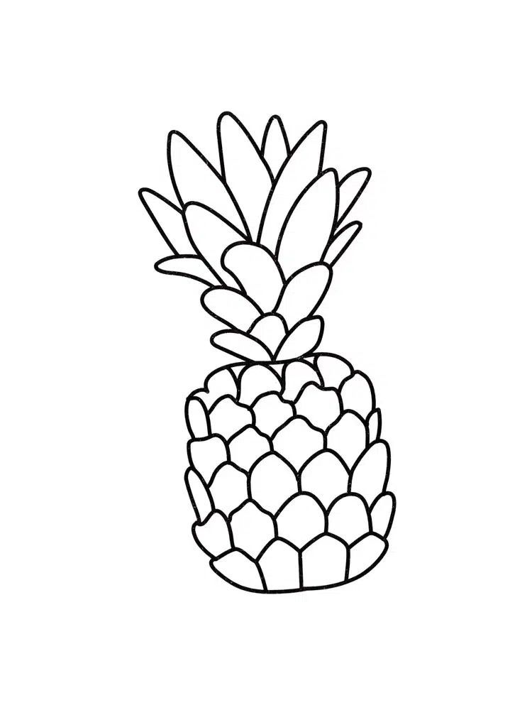 Meyve Ananas boyama sayfası