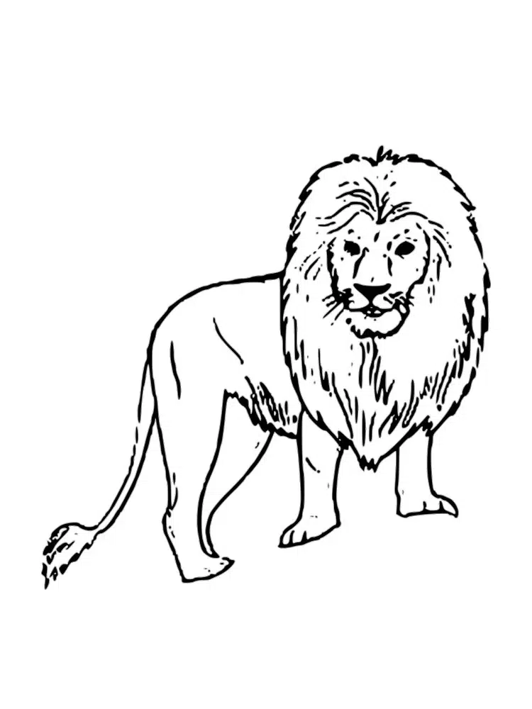 Orman Kralı Aslan boyama sayfası