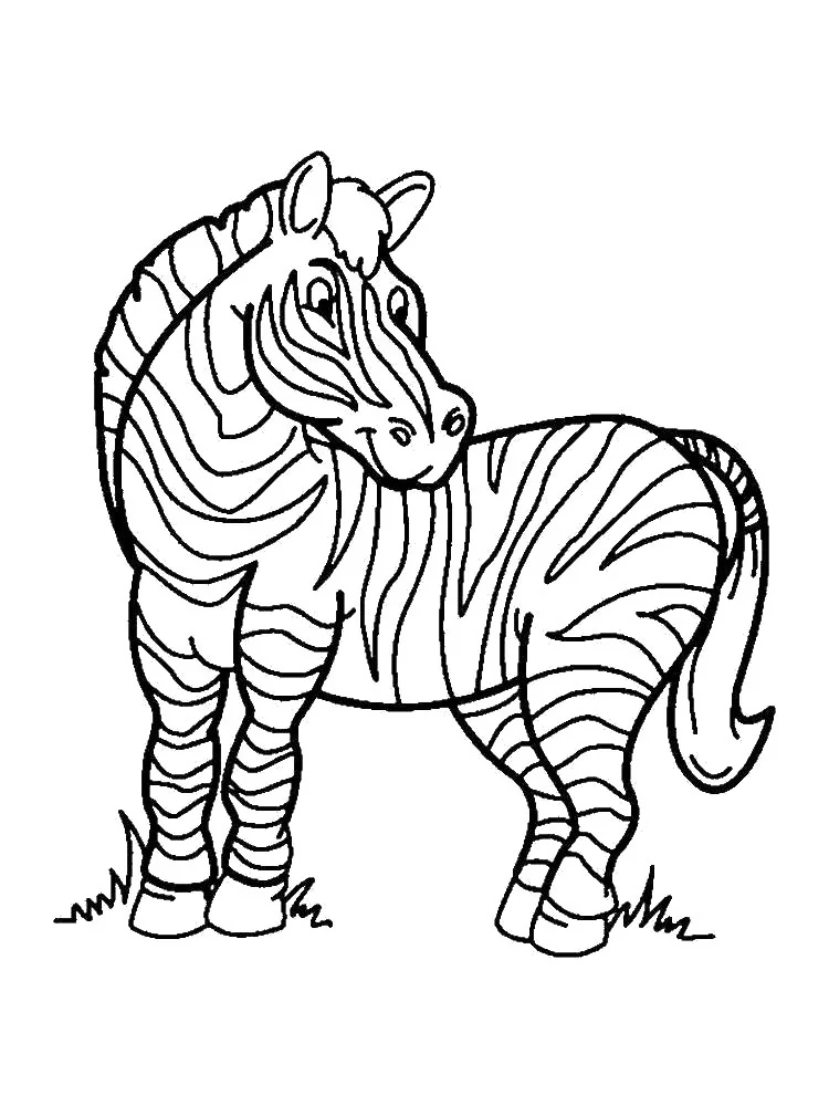 Bebek Zebra