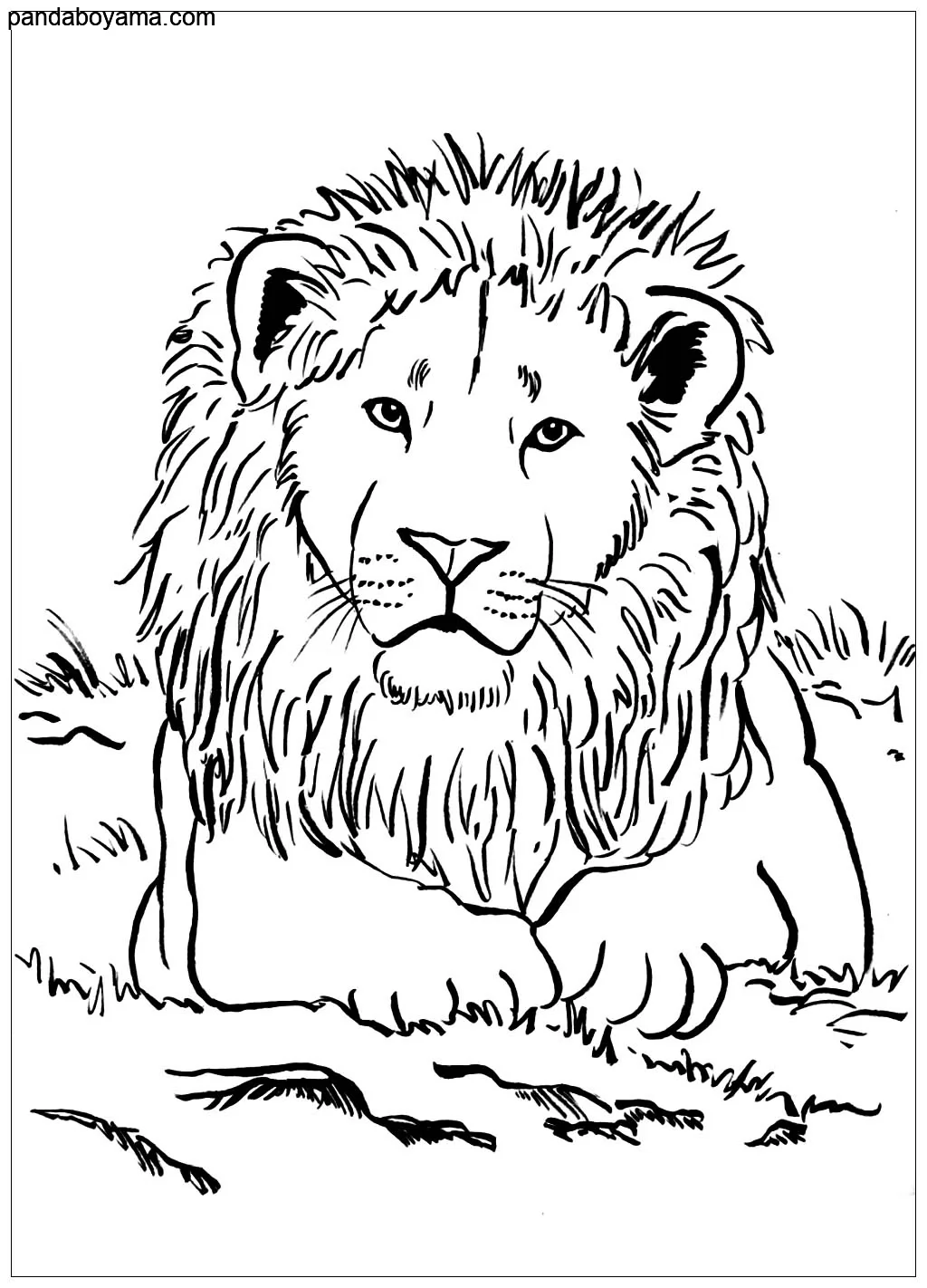 Aslan Avını izliyor boyama sayfası