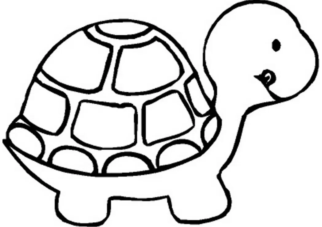 Okul Öncesi Kaplumbağa boyama sayfası