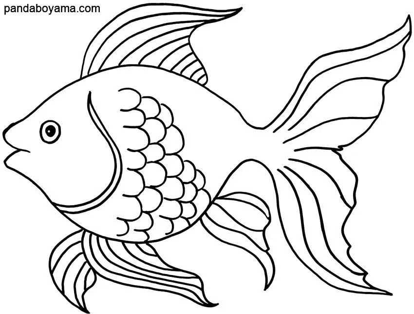 Pullu Balık boyama sayfası