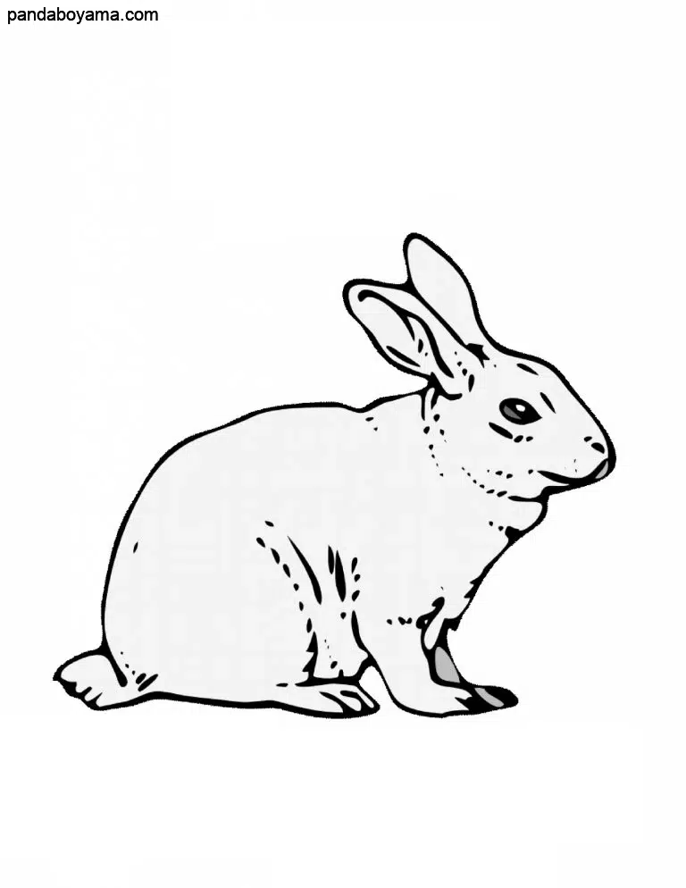 Öfkeli Tavşan boyama sayfası