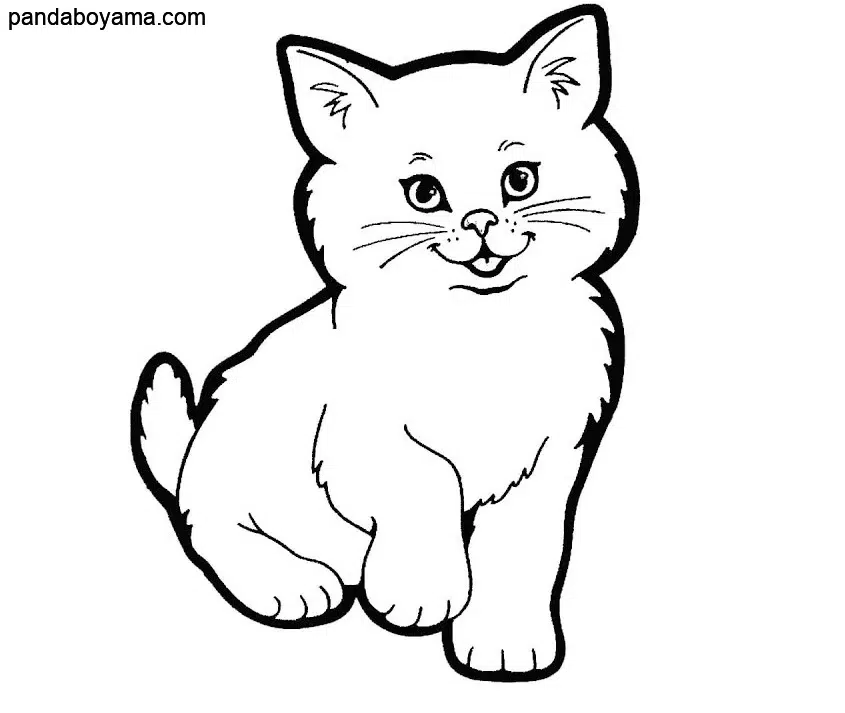 Keskin Pençeli Kedi boyama sayfası