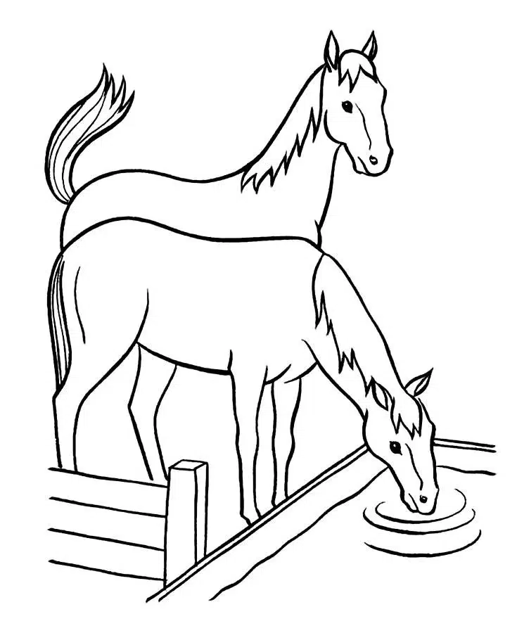 Atlar su içiyorlar boyama sayfası