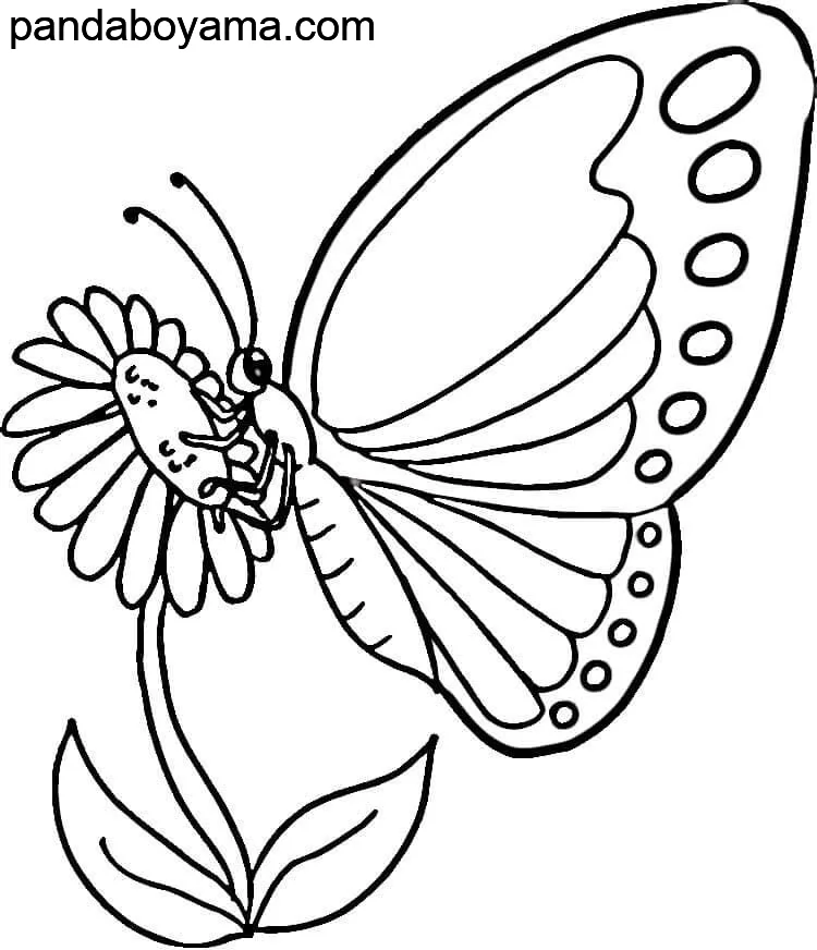 Fantastik Kelebek boyama sayfası