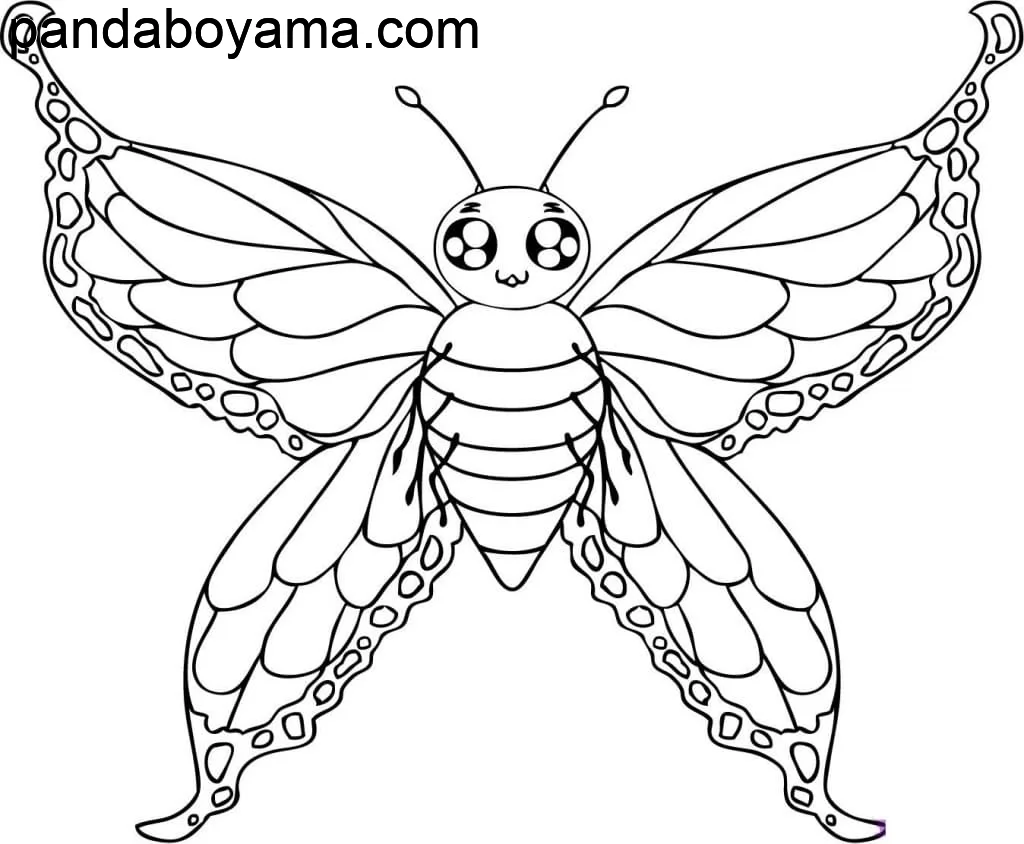 Tatlı Kelebek boyama sayfası
