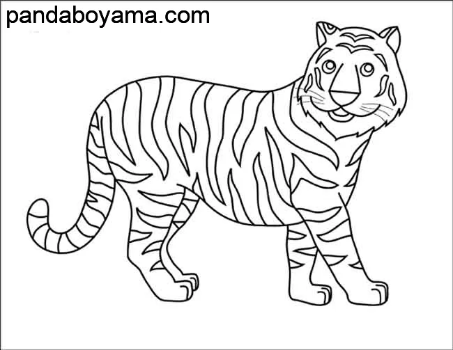 Kaplan Hayvan boyama sayfası